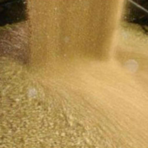 Soybean Extraction Meal